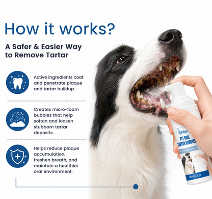 🐶🐱Dobshow® Pet Dental Spray – Fight Tartar & Keep Breath Fresh